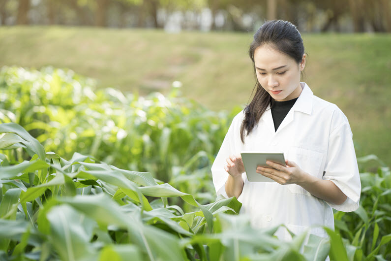 12 Agriculture And Natural Resources Jobs: Your Essential Guide