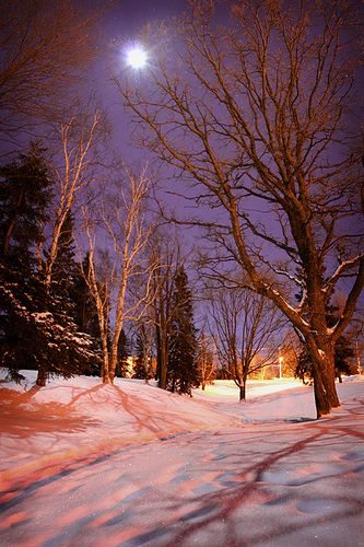 Amp Quot Beyond The Shadows Amp Quot Sault Ontario By Tfavretto Sault Ste Marie Breathtaking Places Snowy Day