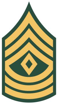 Army 1St Sgt Pay