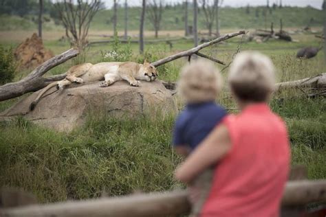 Ebt Zoo Tickets