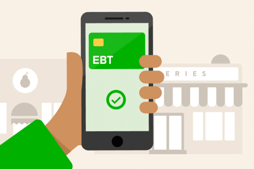 Expert Tips: 8 Ways To Maximise Ebt With Instacart Now