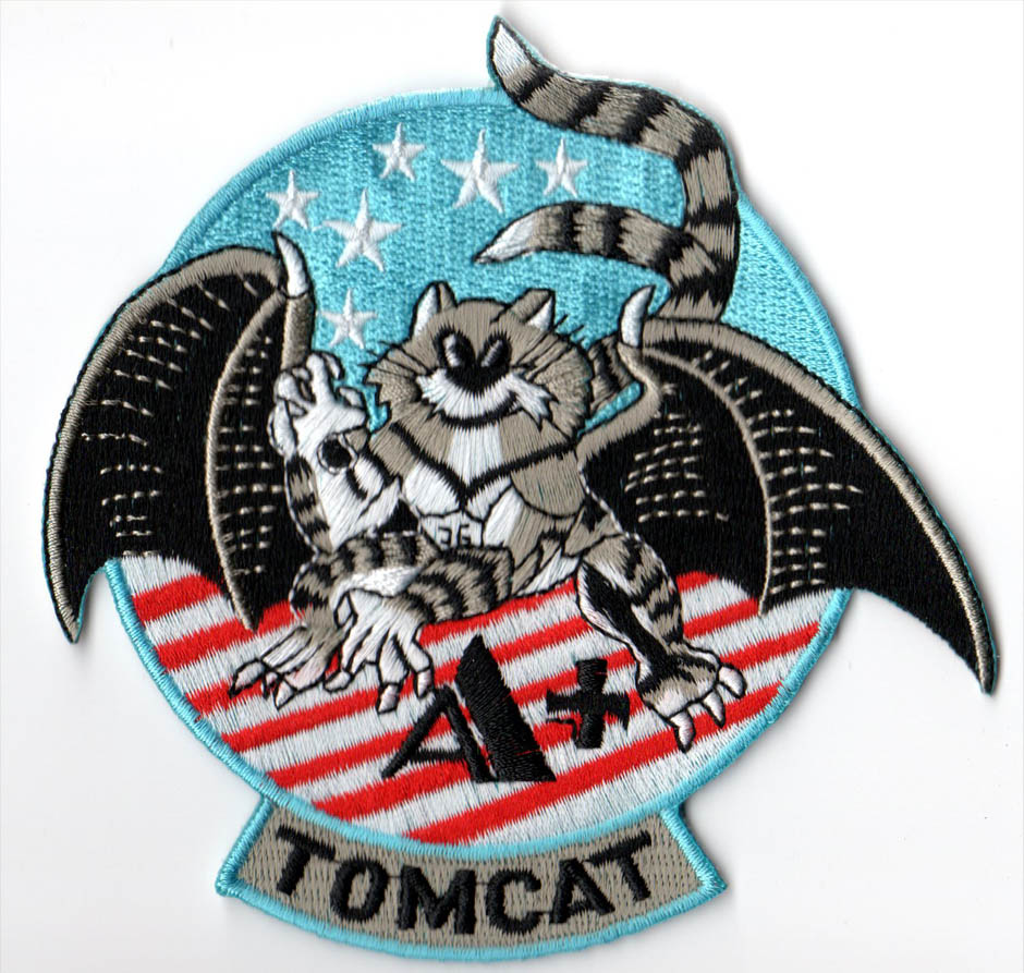 F 14 Super Tomcat