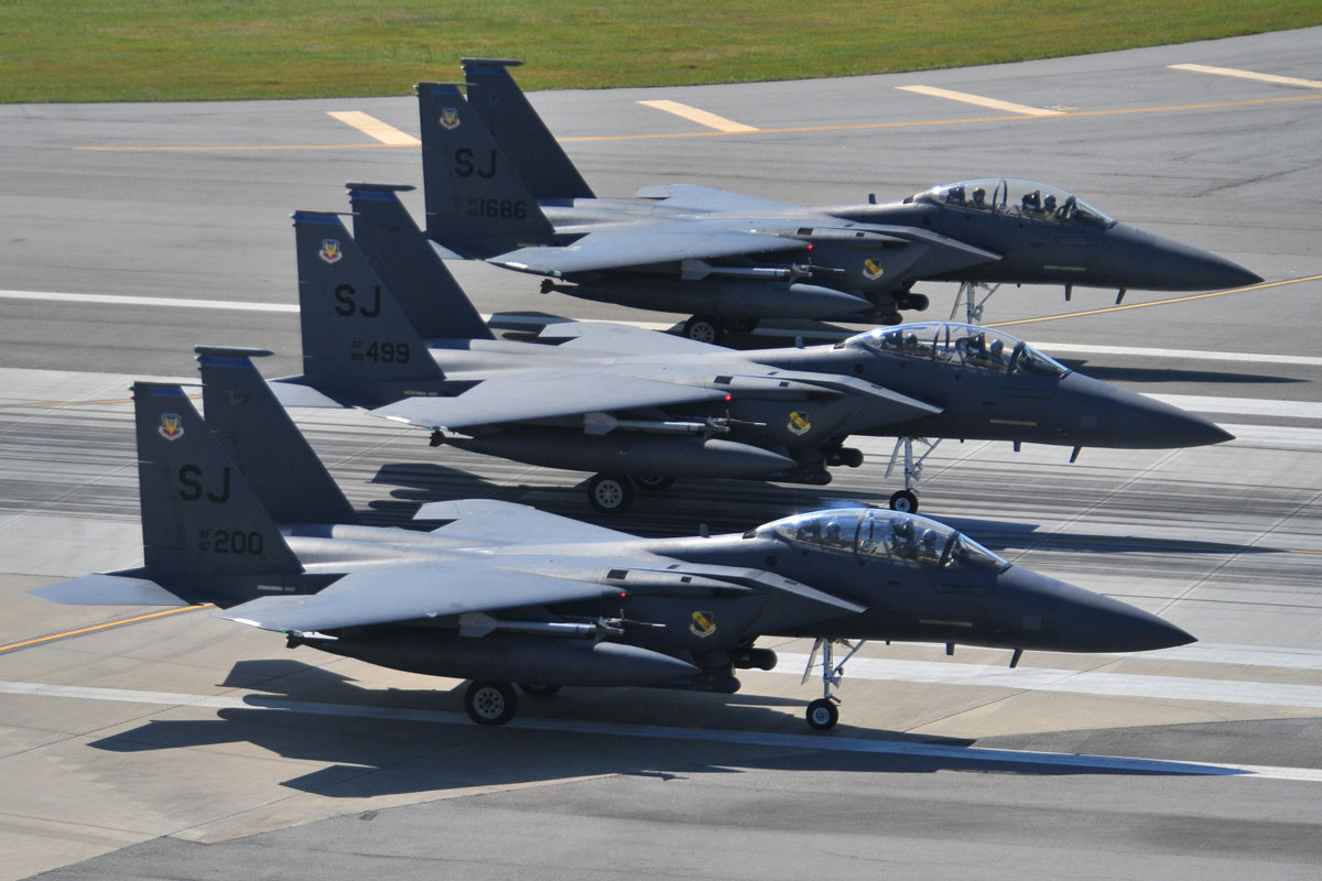 F 15E Strike Eagle Air Force Fact Sheet Display