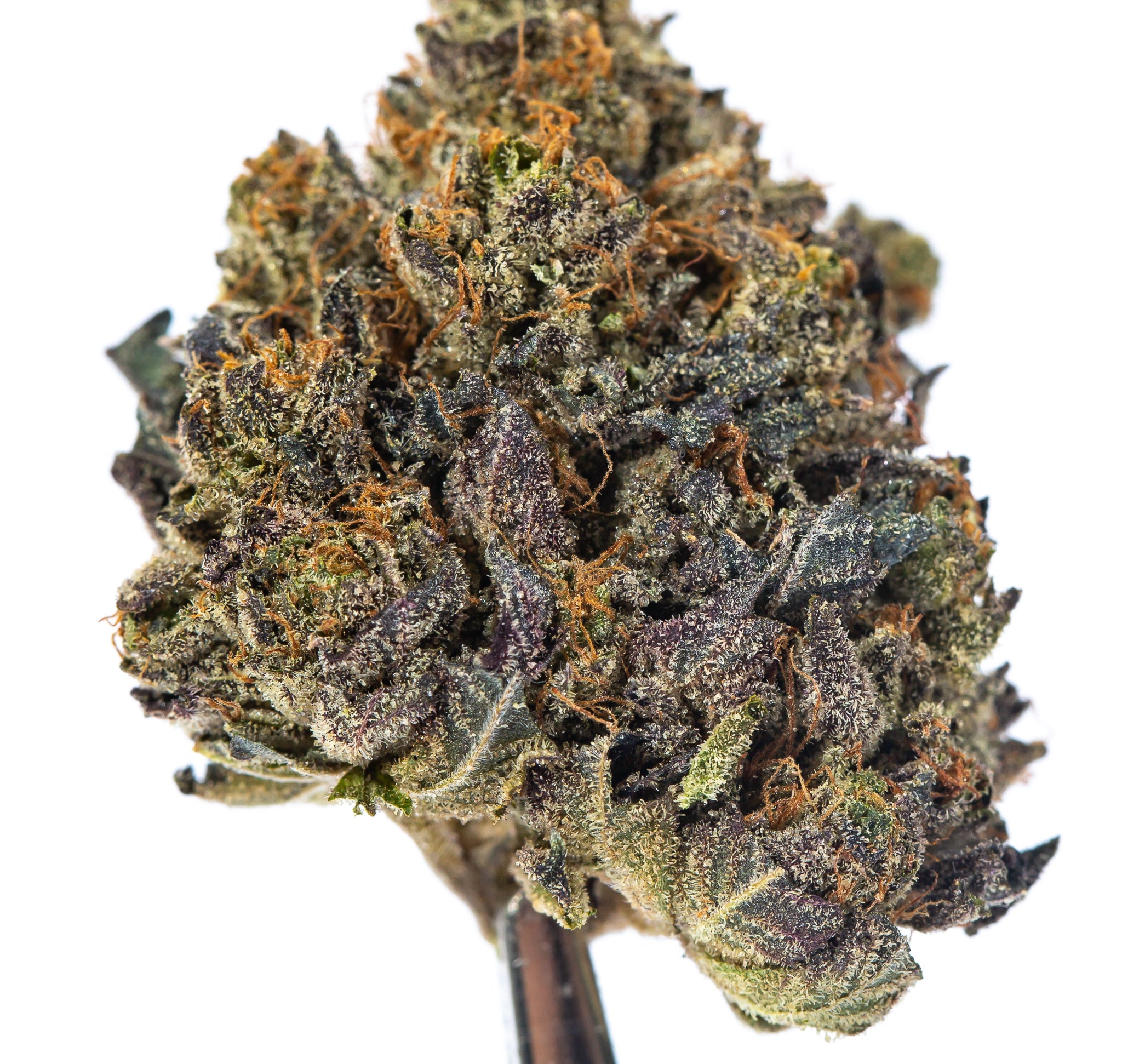 Four Star General Strain Bud Hub Express Canada Wide Delivery