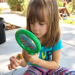 Fun And Engaging Five Senses Unit Your Preschooler Will Love Homeschool