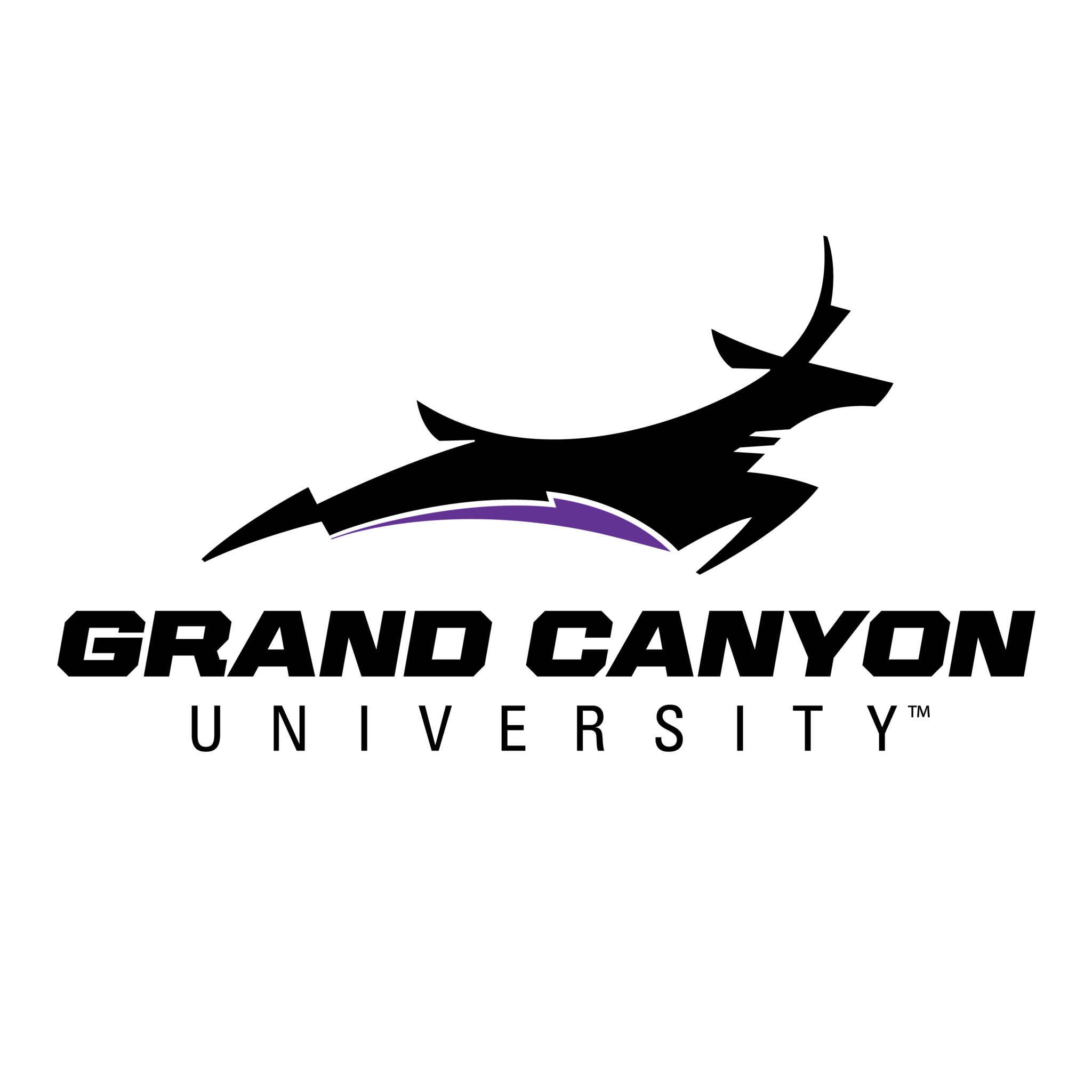 Grand Canyon University Professor Reviews And Ratings 3300 West