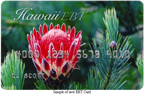 Hawaii Ebt Card Balance Check Ebtcardbalancenow Com