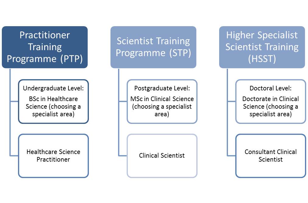 Healthcare Sciences And Nhs Scientists Mahse