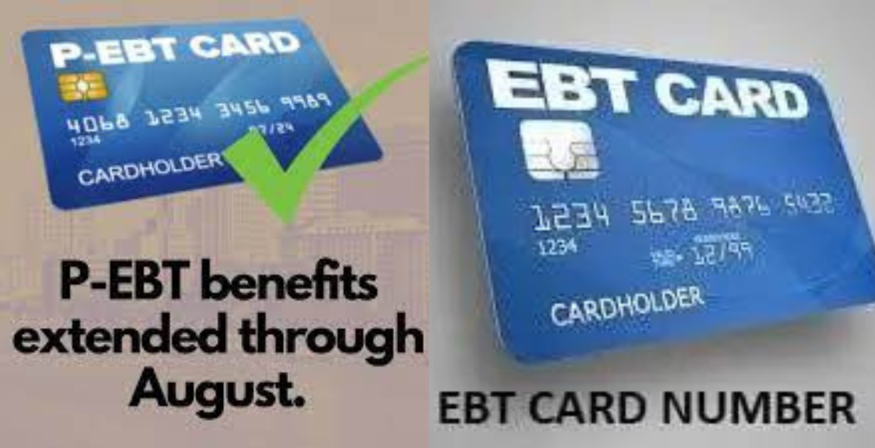 How To See Ebt Card Number Online How Do I Find My Ebt Card Number Youtube