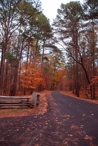 Jeff Busby Park Natchez Trace Natcheztracetravel Com