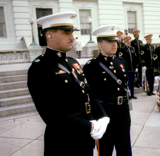 Military Branches Dress Uniforms