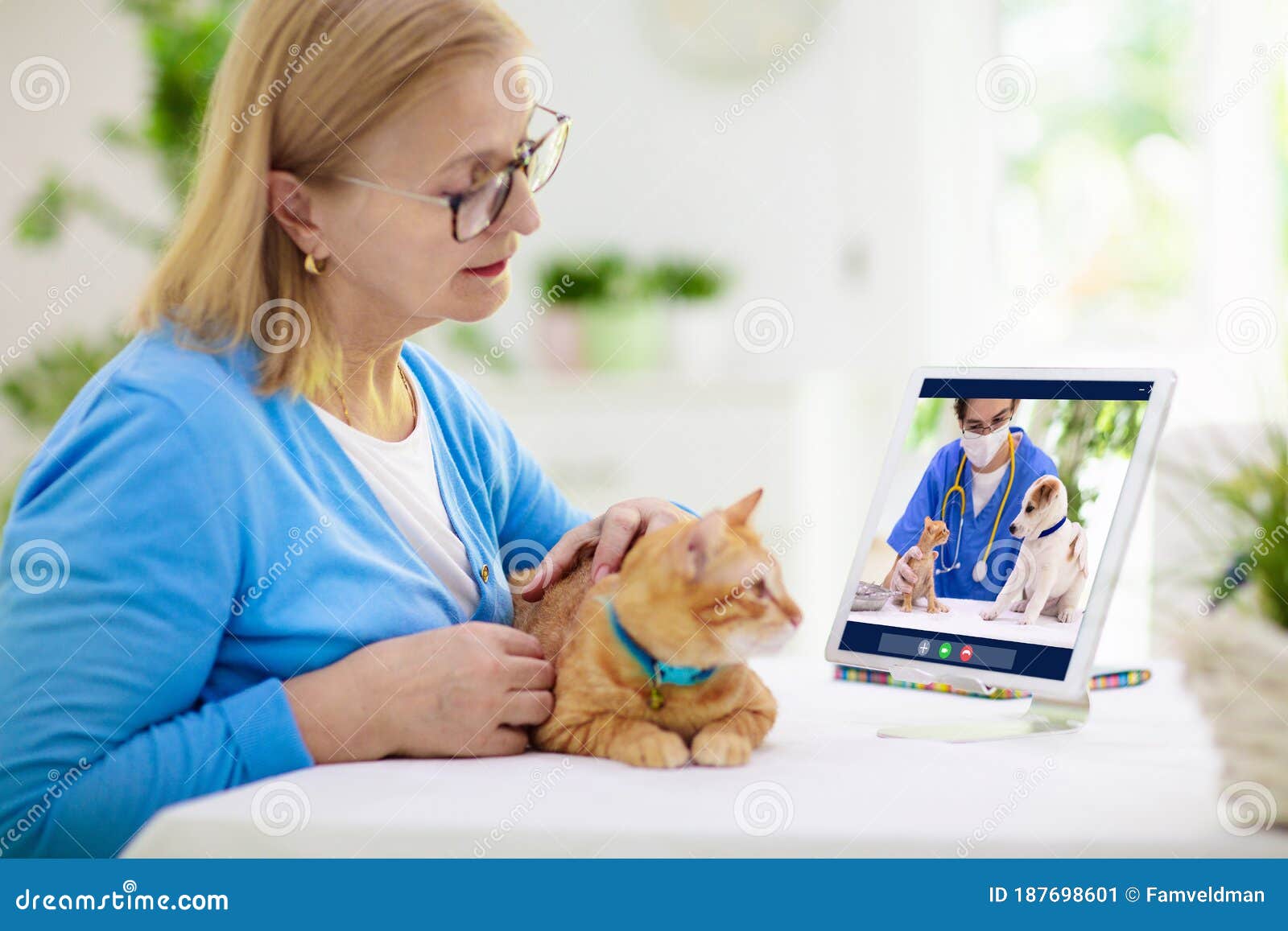 Online Consultation With Veterinarian Doctor 101971621 Pixta