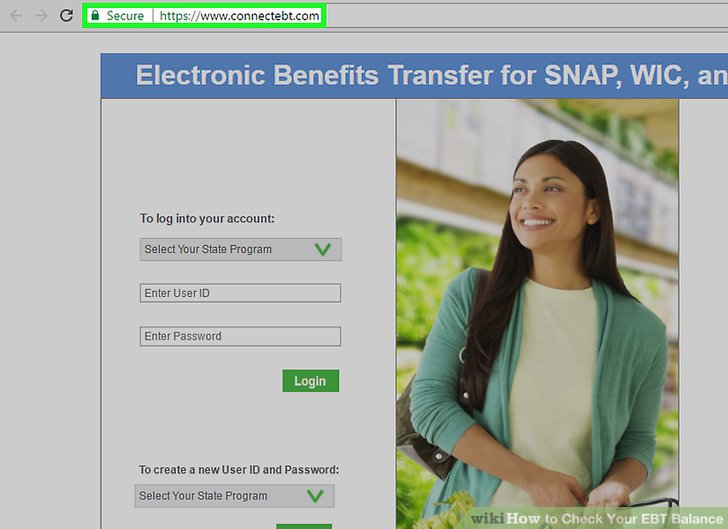Perfect Strategy: Get Your Ebt Balance Online Today