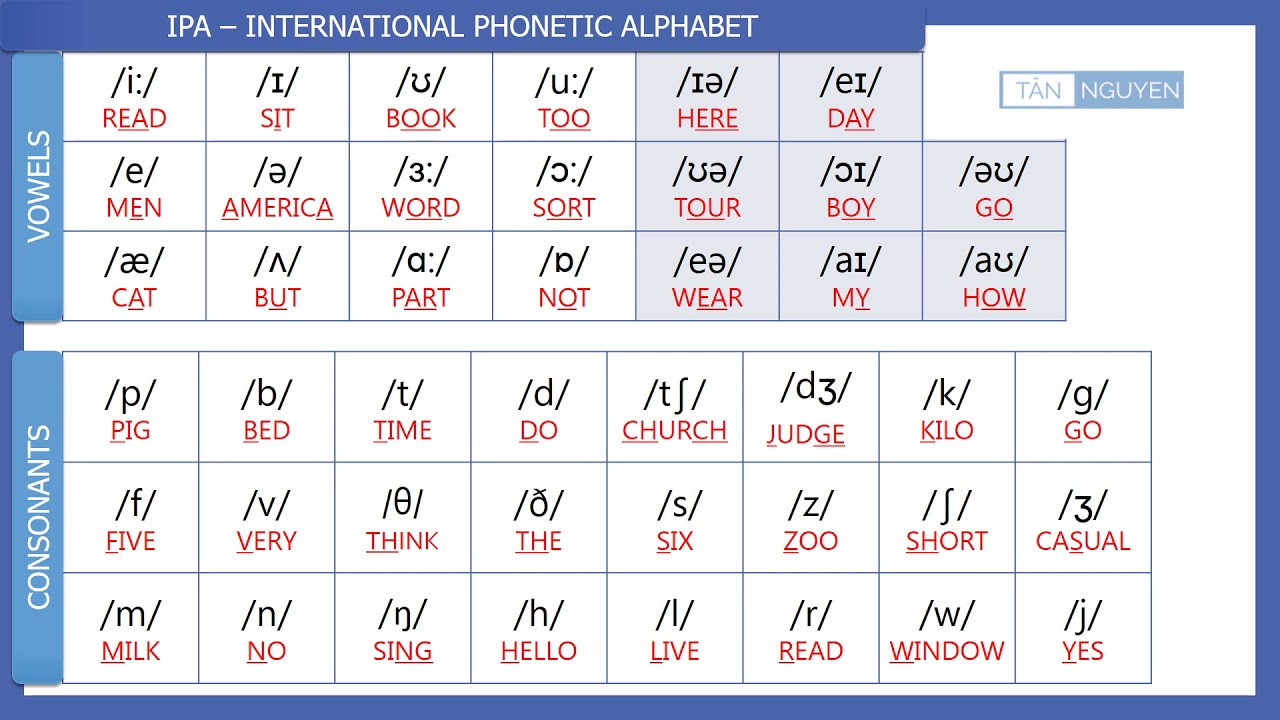 Phonetic Alphabet Translator