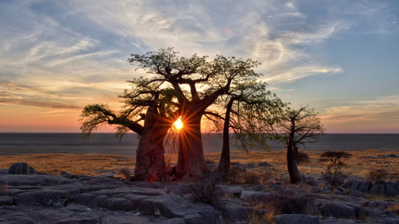 Porsche Adventure Tour Of Namibia Botswana Youtube