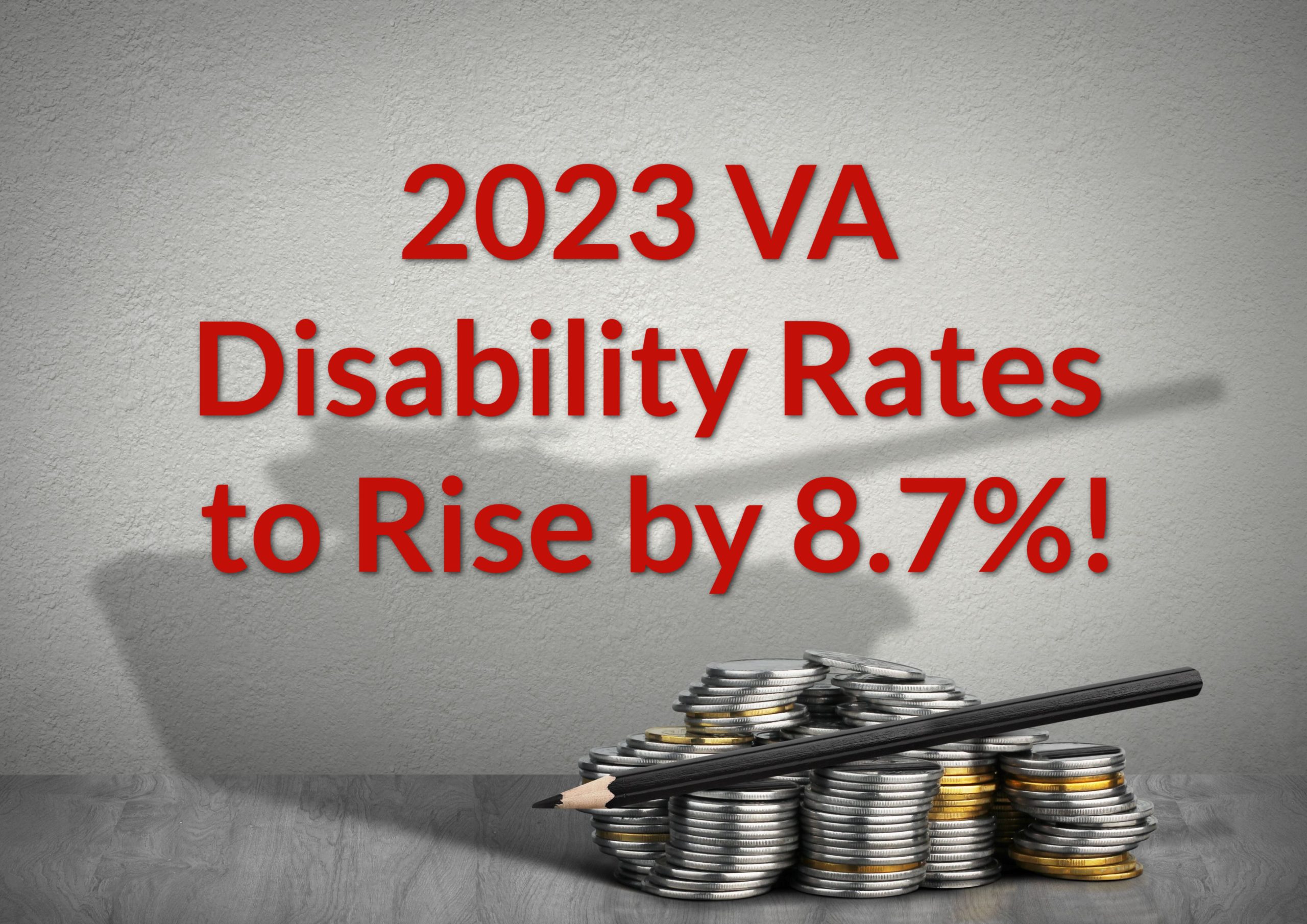 Project 2025 Veterans Disability Act Jennifer S Holford