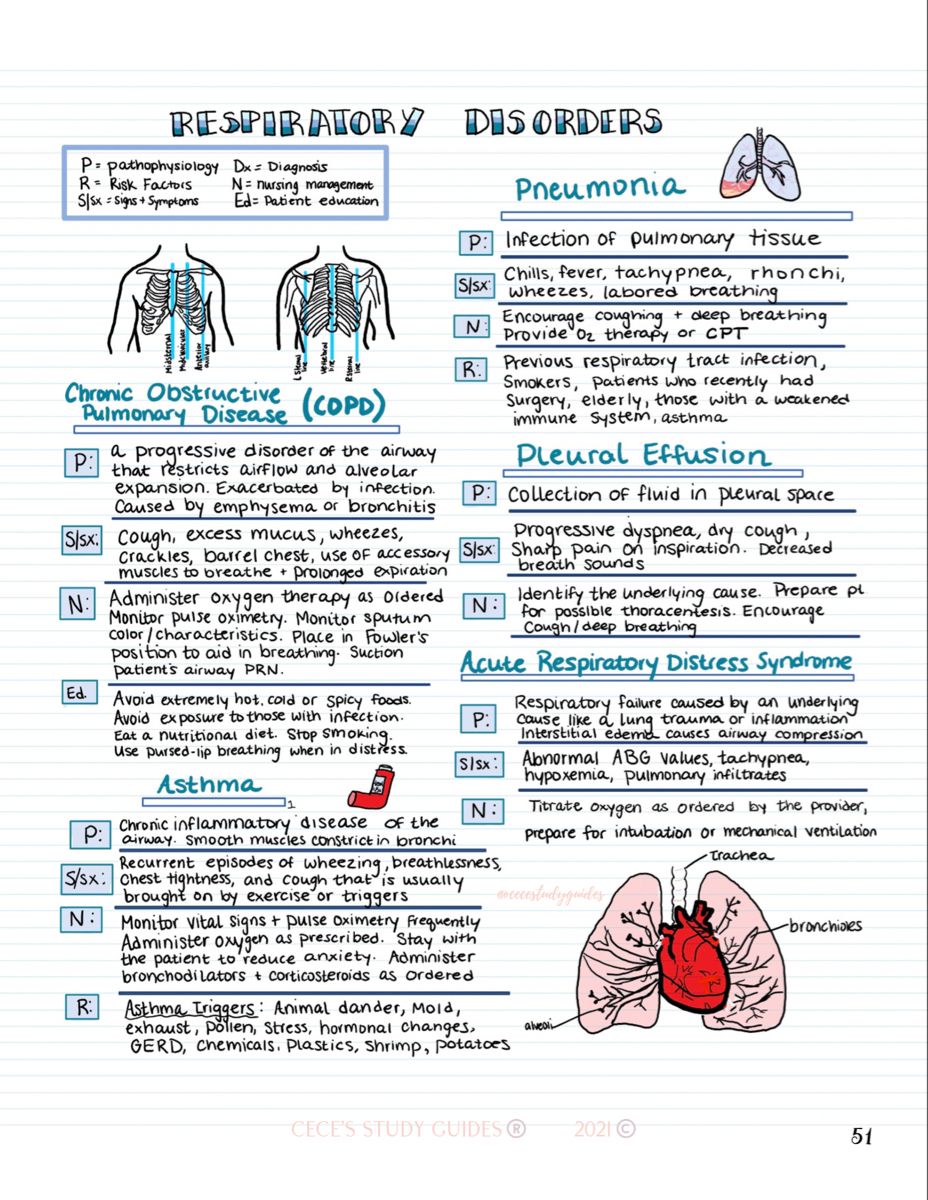 Respiratory Therapist School And Program Guide