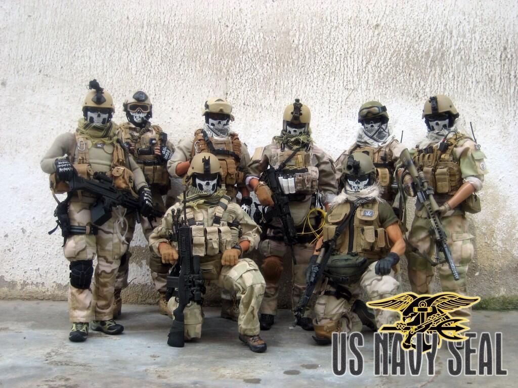 Seal Team 5