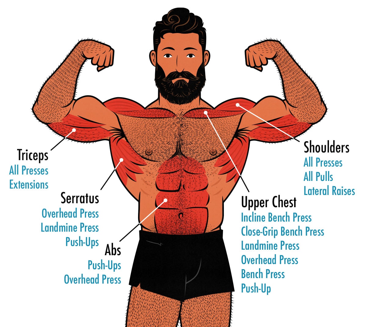 Shoulder Day Workout