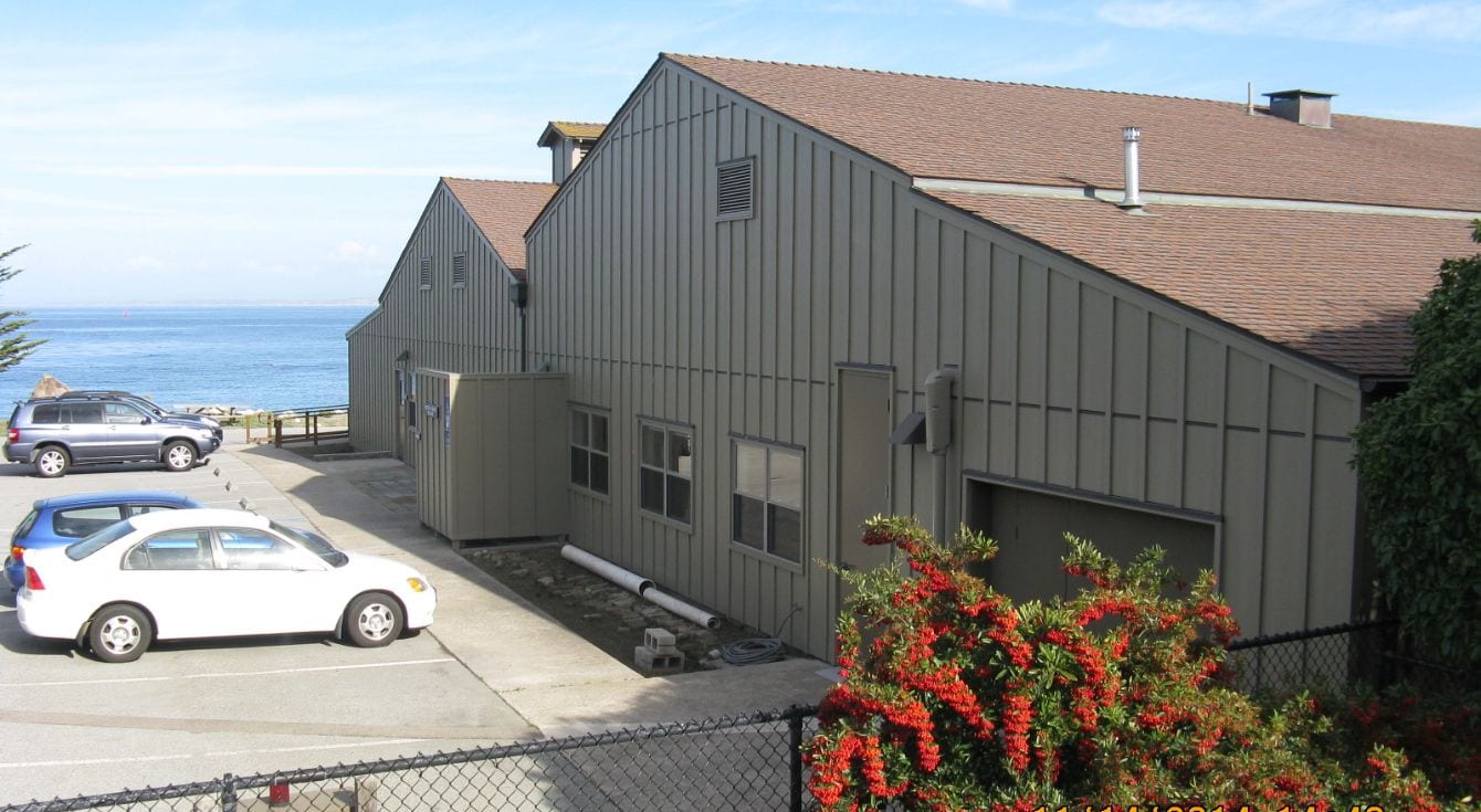 Stanford University Hopkins Marine Station Ausonio