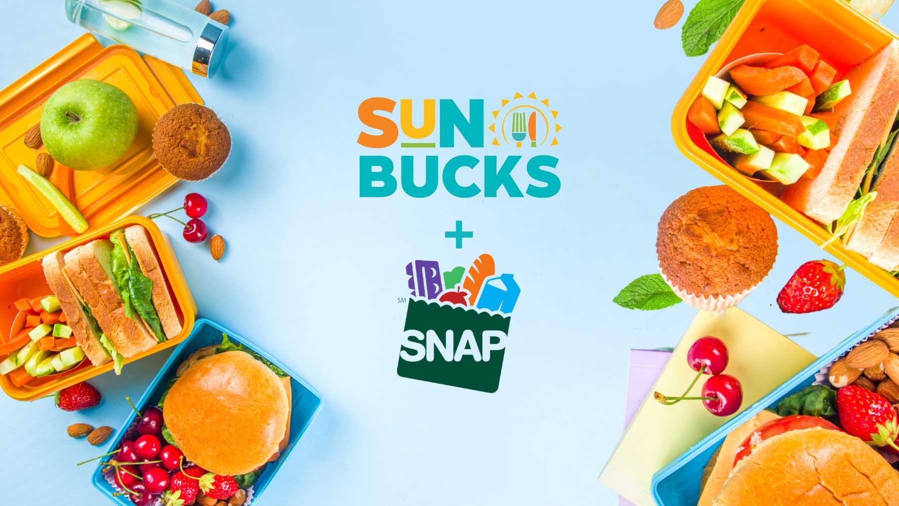 Sun Bucks New 120 Summer Ebt Program New Card Homeschool New