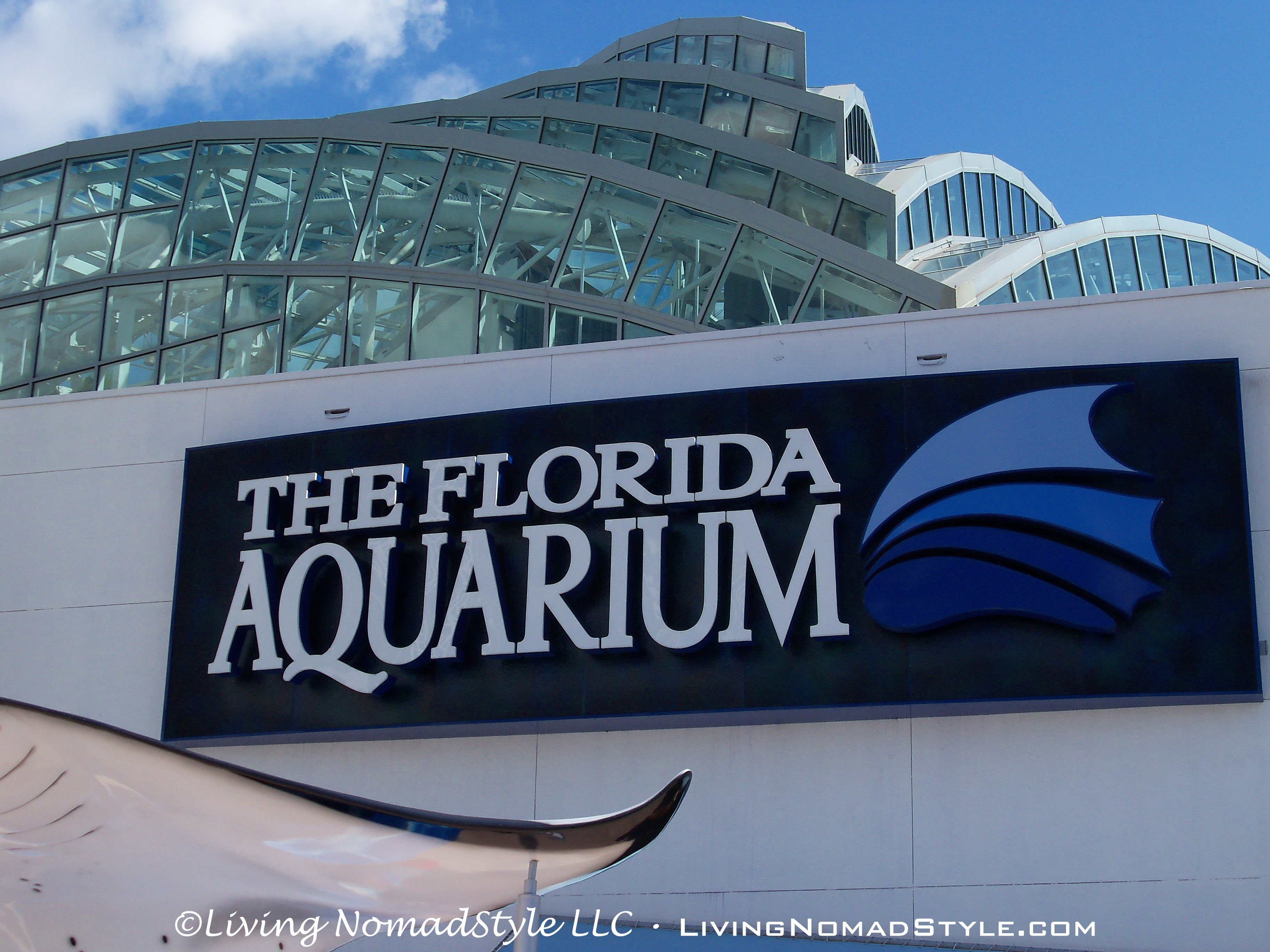 The 7 Best Ways To Design Your Florida Aquarium Experience