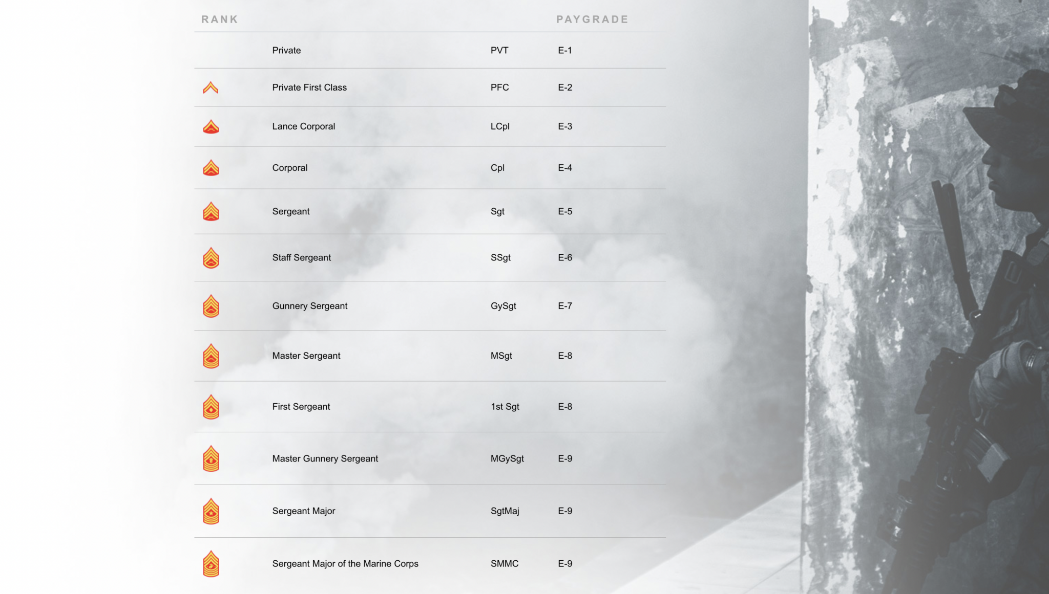 The Complete Guide To Marine Ranks Laptrinhx News