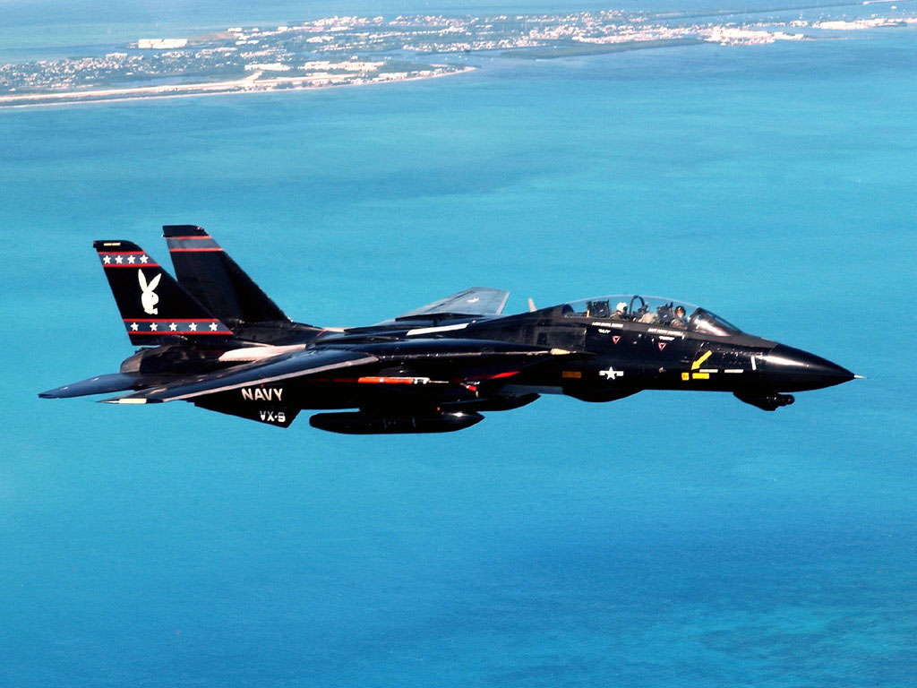 Tomcat Airplane F 14