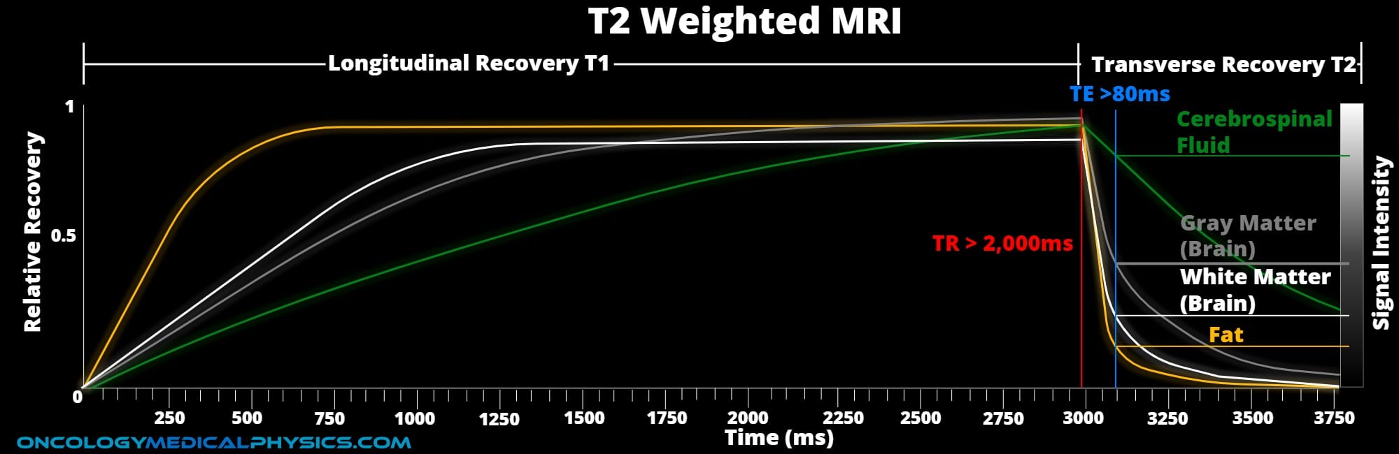 Tr Te Mri Image Weighting T1 T2 Pd Explained Mri Physics