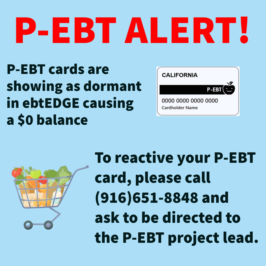 Trouble With Your Pandemic Ebt Card P Ebt Showing A 0 Balance