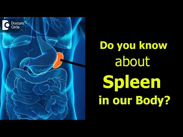 Ultimate Guide To Recognizing Spleen Cancer Symptoms Cancerwalls